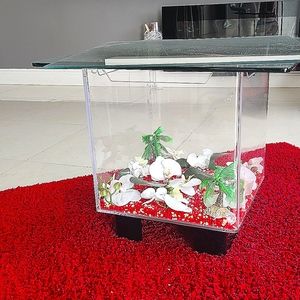 Could be for fishes or mofern coffe tableMUST SELL A.S.P.